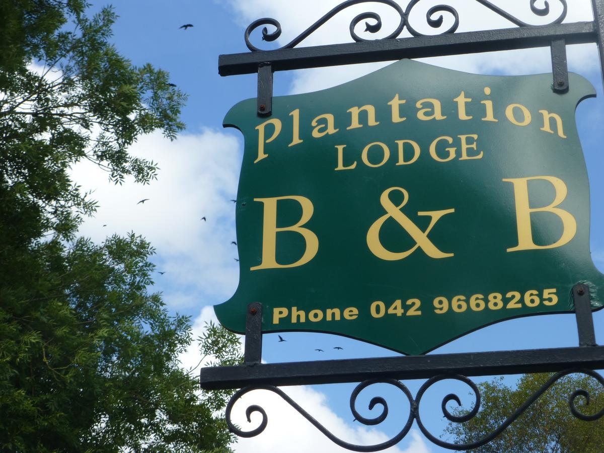 Plantation Lodge Κίνγκσκορτ Εξωτερικό φωτογραφία